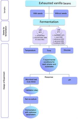 Exploring the Potential of Lactic Acid Fermentation for the Recovery of Exhausted Vanilla Beans